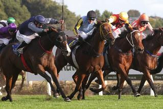 Vigor Winner claiming a dead heat in the G3 Cambridge Breeders Stakes at Te Rapa. Photo Cred: Trish Dunell